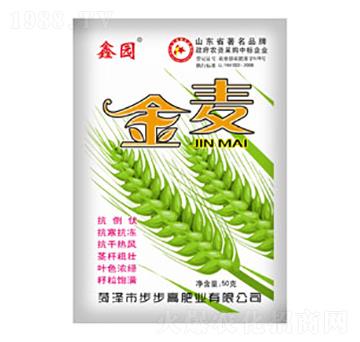 ����-�ΰ�-�����߷ʘI(y��)