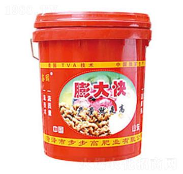 ����_ʩ��-�Έ@-��