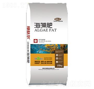 ��������\��}�V-����