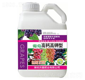 ���Ѹ��}�����-���Ƿ�