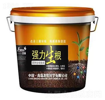(qing)Ȼø-
