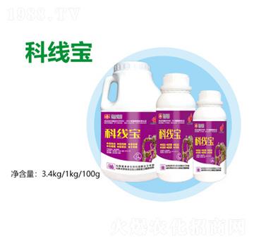 ƾ(xin)-S