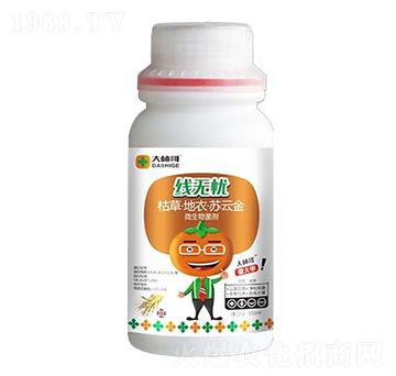 ���o�n��΢���������-������