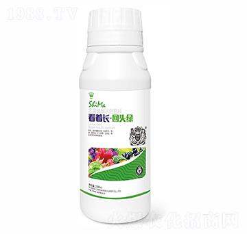 L^G1000ml-{RʘI(y)