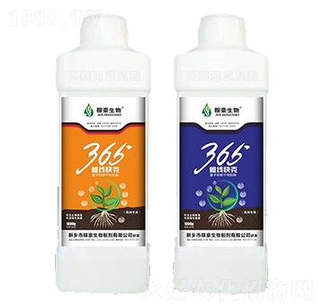 365(xin)ˣƿ-ں
