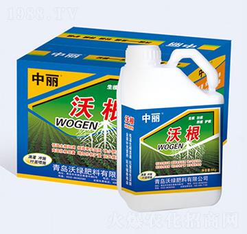 �ָ�-�־G����