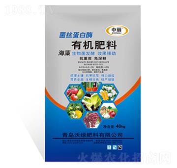 ���z����ø�ЙC(j��)����-��