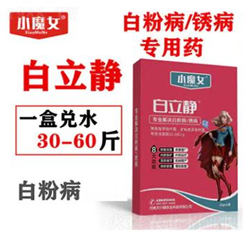 �׷۲����P������ˎ-�����o-СħŮ-���н�