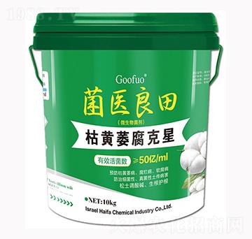 ���Sή������ ���t(y��)����