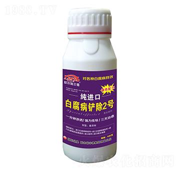 ΢-M(jn)ڰ׸P2̖-S