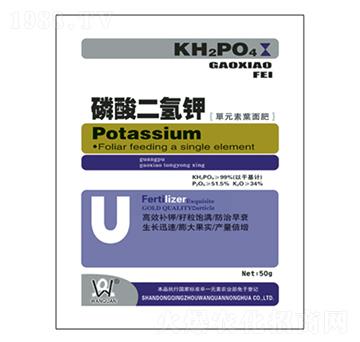 ��������50g-�fȪ�r��