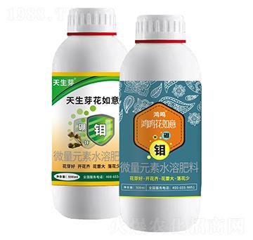 ���Q������+����ѿ����