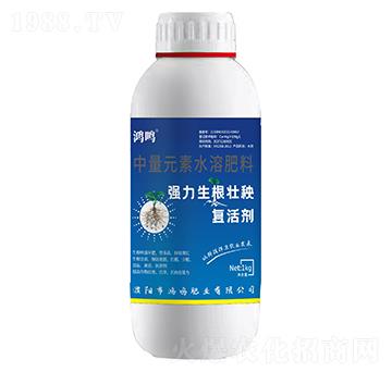 ������������ͺτ�-���Q