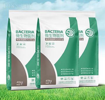 ΢�������-��������