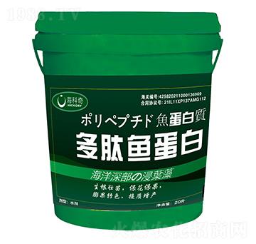 �����~����-������