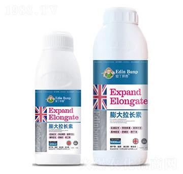 ������L(zh��ng)��-�۶�����