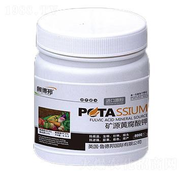 礦源防腐酸鉀-魯?shù)掳? />
                                </div>
                            </div>
                            
                            <style type=