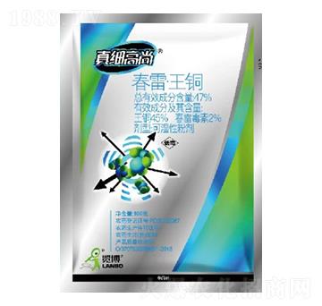 47%���ס����~WP-�漚����-һ�[�Ƽ�