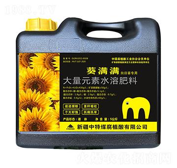 ���M�M����Ԫ��ˮ�ܷ���-����ú