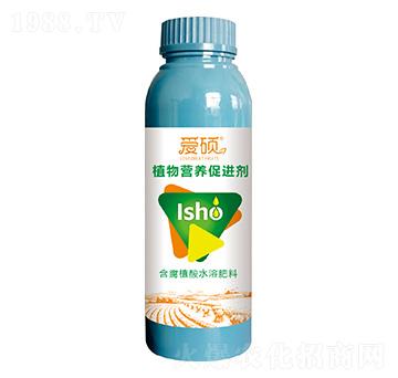 ֲIB(yng)M-۴T-ArI(y)