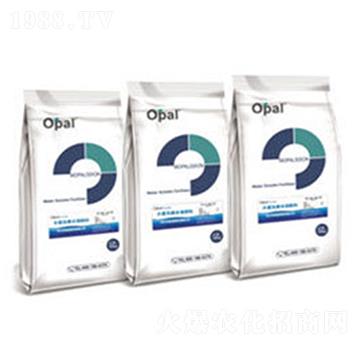 OPAL(gu)a(chn)ˮܷ-W㘷(l)