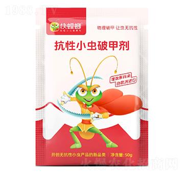 ����С�x�Ƽׄ�-�����-ϲ��{��