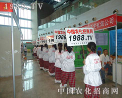 ��ƴ���M(j��n)�е��׵��r(n��ng)�����̾W(w��ng)�F(tu��n)�(du��)