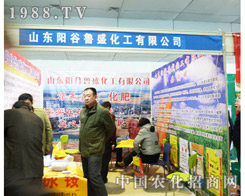 �(y��ng)����ʢ�ڵڰˌ�ɽ�|�r(n��ng)�Yչ�����ķ���(w��)