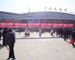 �Գ־��Ǆ���