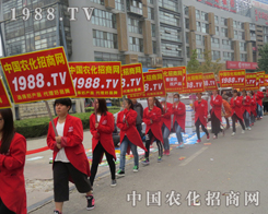 �r(n��ng)�����̾W(w��ng)��2015��(j��)��ֲ�������ƏV����