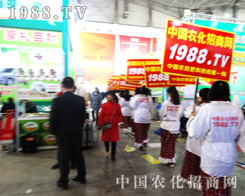 2015�ӱ�����ֲ�����ו�(hu��)�ψF(tu��n)�Y(ji��)һ�ĵ��r(n��ng)����