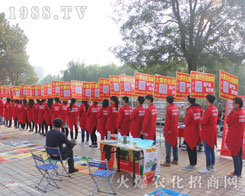 1988.TV2016(j)ֲו(hu)ϱF(xin)ͻ׷҂x
