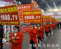 �r(n��ng)���W(w��ng)��2016�����ݷ��ϕ���������ȫ���Ը�