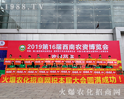 2019rY[rW(wng)o̎