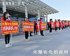 1988.TV2019LֲeOչF(xin)ڻ˵ļ