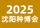 2005(yng)N(hu)