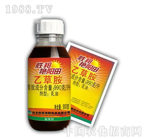 �G����Ҳݰ�