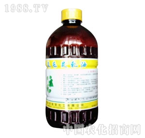 �r����-�����`����