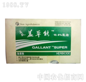 �r����-�w����