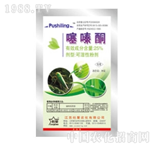 ����-���ͪ