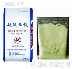 ɽ������-���၆�F