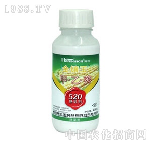 ���-�����