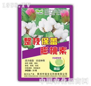 ��ԣ-��֦����������