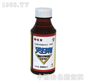 �����_(d��)-20%�����