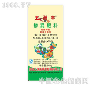 �����S-55%��������������