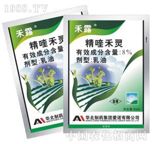 ���Z-��¶��8%��୺��`���ͣ�